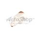 PIN: TRUNNION