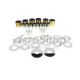 KIT: FLAP ROLLER,BASIC